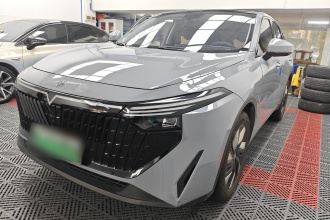 启辰大V DD-i 2024款 110km iE悦行版