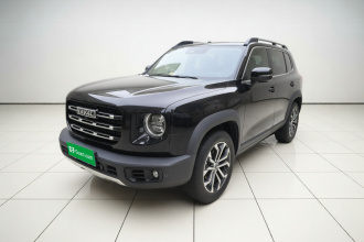 哈弗大狗 2022款 1.5T DCT两驱边牧版