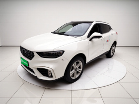 魏牌 VV5 2020款 1.5T 两驱颜先锋