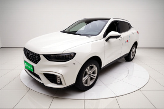 魏牌 VV5 2020款 1.5T 两驱颜先锋