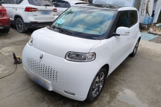 欧拉白猫 2022款 升级版 305km 豪华型 三元锂
