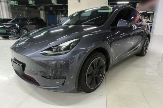 特斯拉 Model Y 2021款 长续航全轮驱动版