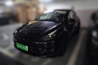 特斯拉 Model Y 2021款 标准续航后驱版