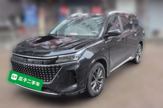 蓝电E5 2024款 荣耀版 100KM尊享型 7座