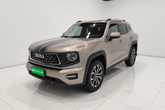 哈弗大狗 PLUS 2023款 2.0T 两驱潮野版