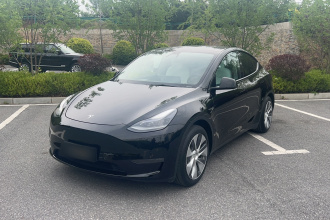 特斯拉 Model Y 2021款 标准续航后驱版