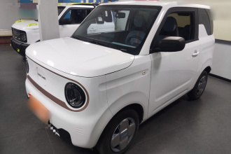 吉利银河 2024款 熊猫mini 200km 耐力熊