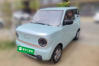 吉利银河 2024款 熊猫mini 200km 耐力熊