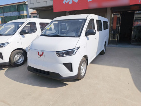 五菱汽车 五菱扬光 2024款 300km 舒适型客车版 75kW