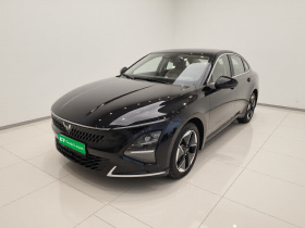 五菱汽车 五菱星光 2024款 共创版 150 进阶型