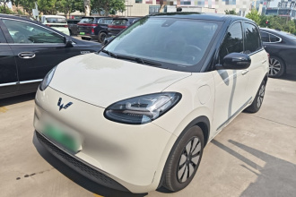 五菱汽车 五菱缤果 2023款 333km 灵犀互联款
