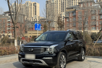 广汽传祺 传祺GS8 2017款 320T 两驱豪华智联版（七座）