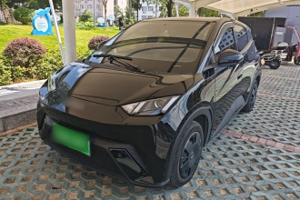 比亚迪 海鸥 2024款 荣耀版 305km 活力版