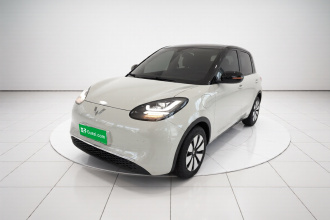 五菱汽车 五菱缤果 2024款 333km 灵犀互联款