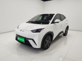 比亚迪 海鸥 2023款 活力版