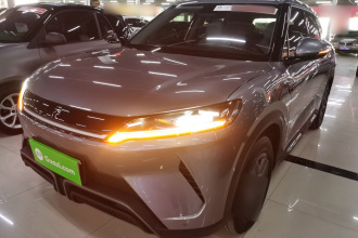 比亚迪 元UP 2024款  401KM 活力版