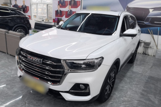 哈弗H6 2021款 国潮版 1.5T 自动都市版