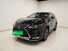 雷克萨斯RX 2020款 改款 300 两驱舒适版