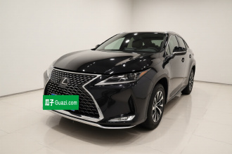 雷克萨斯RX 2020款 改款 300 两驱舒适版