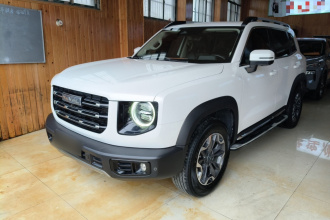 哈弗大狗 2021款 2.0T DCT四驱中华田园犬版