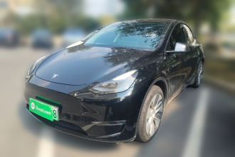 特斯拉 Model Y 2021款 标准续航后驱版