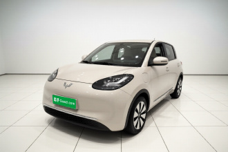 五菱汽车 五菱缤果 2024款 333km 悦享款