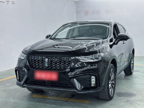 魏牌 VV5 2020款 1.5T 两驱颜先锋