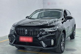 魏牌 VV5 2020款 1.5T 两驱颜先锋