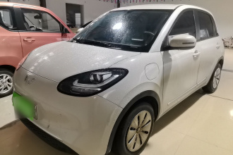 五菱汽车 五菱缤果 2025款 203km 轻享款
