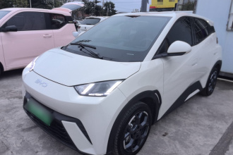 比亚迪 海鸥 2024款 荣耀版 305km 自由版