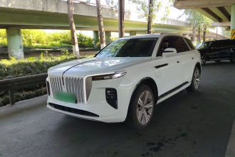 红旗E-HS9 2021款 460km 旗享版 六座