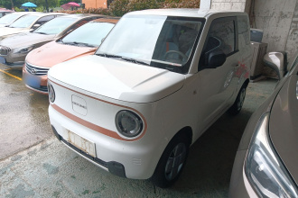 吉利银河 2023款 熊猫mini 200km 耐力熊