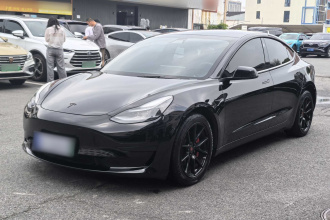 特斯拉 Model 3 2021款 标准续航后驱升级版 3D6