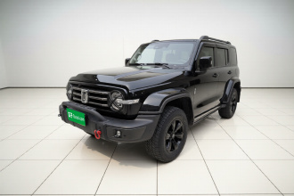 坦克300 2023款 城市版 2.0T 很有型