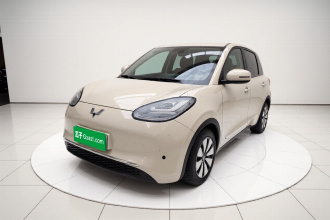 五菱汽车 五菱缤果 2023款 203km 舒享款
