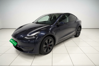 特斯拉 Model Y 2024款 后轮驱动版