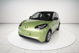 五菱汽车 五菱缤果 2023款 333km 灵犀互联款