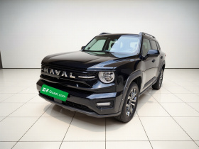 哈弗大狗 PLUS 2026款 2.0T 潮野版