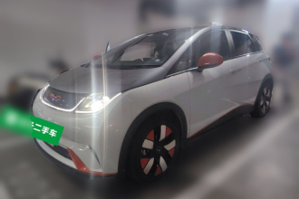 比亚迪 海豚 2021款 401km 骑士版