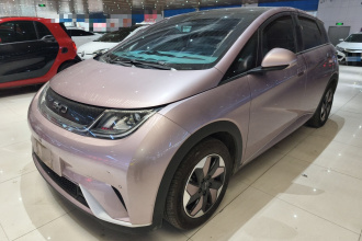 比亚迪 海豚 2024款 荣耀版 420km 时尚版