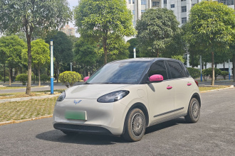五菱汽车 五菱缤果 2023款 333km 灵犀互联+款