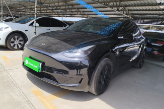 特斯拉 Model Y 2024款 后轮驱动版