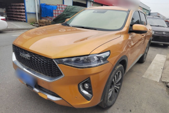 哈弗F7 2019款 2.0T 四驱70周年限量版