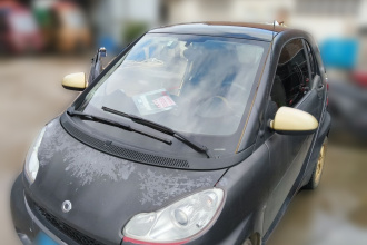 smart fortwo 2012款 1.0 MHD龙年特别版