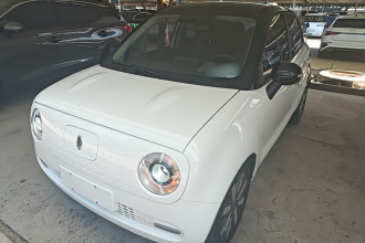 欧拉黑猫 2021款 351km 标准型