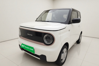 吉利银河 2023款 熊猫mini 200km 耐力熊