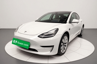 特斯拉 Model 3(进口) 2019款 长续航后驱版