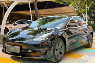 特斯拉 Model 3(进口) 2019款 标准续航后驱升级版(52度)
