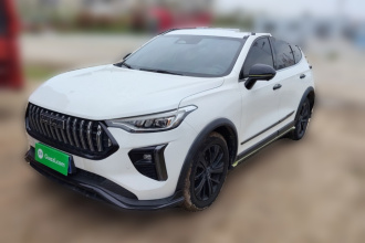 哈弗赤兔 2021款 激擎版 1.5T 黄金兔