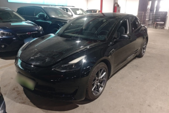 特斯拉 Model 3 2021款 标准续航后驱升级版 3D6